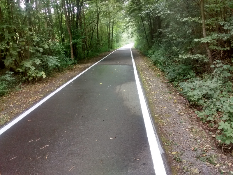 Radweg mit Randmarkierung